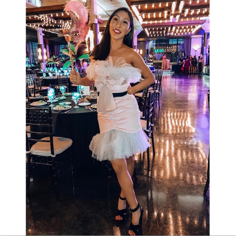 Brognano Pink Velvet Tulle Mini Dress Size 44